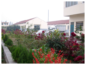 北京環保丙烯酸聚合物工藝